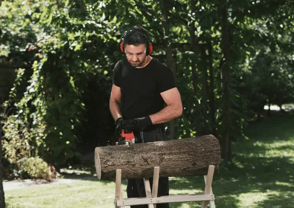 Пила ланцюгова акумуляторна SKIL 0534 CA безщіткова 20В акб 1х4А·год ЗП 30см 3.2кг