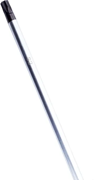 Викрутка Bosch Professional Torx T30x125мм замовити