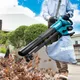 Акумуляторна повітродувка-пилосос Makita DUB187T001 ціна в Україні