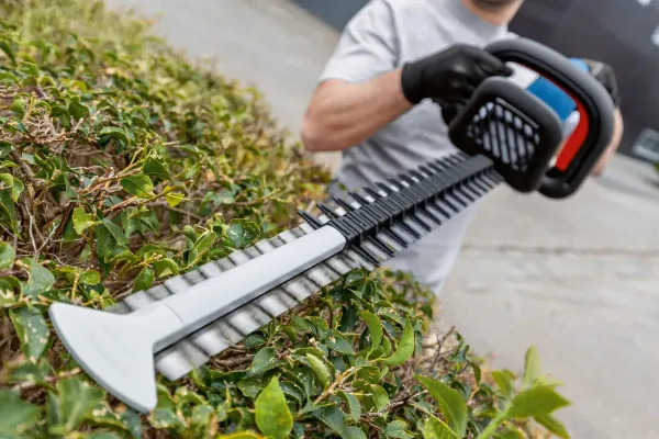 Купити Кущоріз акумуляторний Bosch Professional GHE 18V-60 18В 60мм крок різу 23мм 2.3кг без АКБ та ЗП зі знижкою