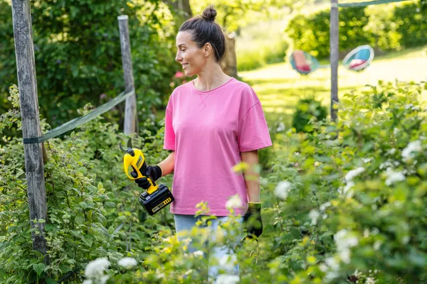 Секатор акумуляторний Karcher TLO 2-18 18В 2,5см 1.09кг без АКБ та ЗП купить в Украине