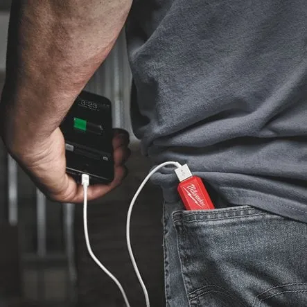 Акумулятор Li-Ion Повербанк 2,1А PPS-301 с зарядним пристроєм USB L4 MILWAUKEE 4932493335 ціна в Україні