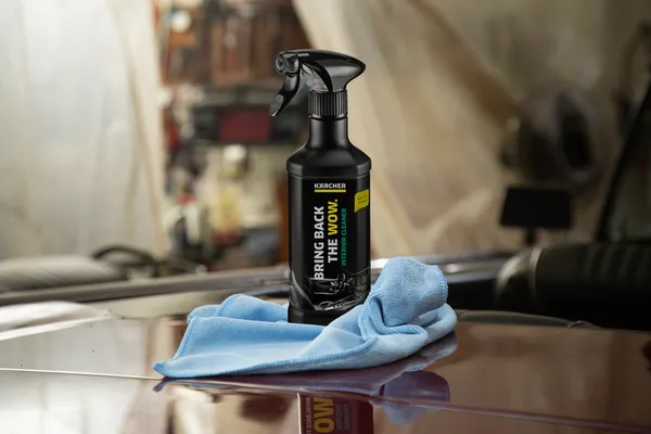 Средство автомобильное Karcher RM 651, для чистки салона, 0,5л купить в Украине