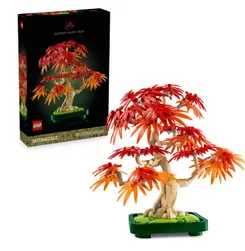 Конструктор LEGO Botanicals Бонсай с японского красного клена фото