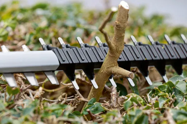 Кущоріз акумуляторний Bosch Professional GHE 18V-60 18В 60мм крок різу 23мм 2.3кг без АКБ та ЗП купити онлайн