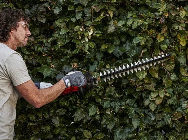 Кущоріз акумуляторний SKIL 0440 CA 20В акб 1х2.5А·год 55см крок різу 20мм 2.15кг з доставкою