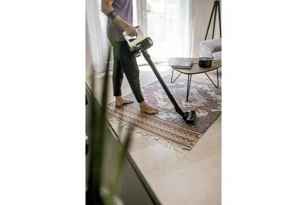 Купить Пылесос беспроводной Karcher VC 4 Cordless myHome Pet