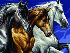 Набір для творчості Sequin Art Painting by numbers Senior Дикі коні 39*30см фото