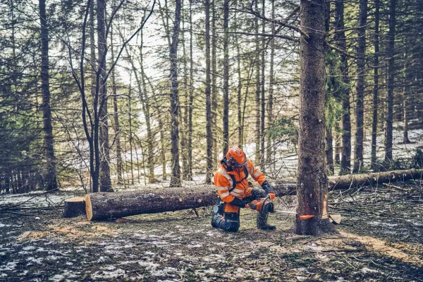 Бензопила Husqvarna 562 XP Mark II відгуки