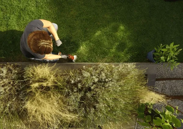 Ножиці для трави акумуляторні SKIL 0630 CA 20В акб 1х2.5А·год + насадка кущоріз 20см крок різу 8мм 1кг купити онлайн