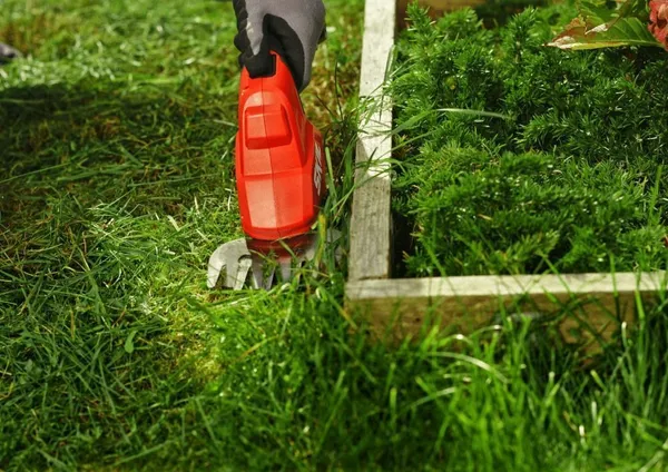 Ножиці для трави акумуляторні SKIL 0630 CA 20В акб 1х2.5А·год + насадка кущоріз 20см крок різу 8мм 1кг відгуки