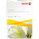 Папір Xerox COLOTECH + (350) SRA3 125а. AU