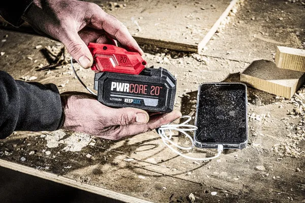 USB адаптер SKIL 3162 CA 20В, 3.6А, двухпортовый, 0.15кг купить в Украине