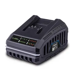 Зарядний пристрій Scheppach SBC4.5A фото