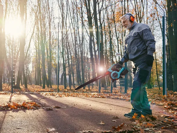 Купить Воздуходувка-пылесос садовый аккумуляторный Konner&Sohnen бесщеточный 40В(20+20В) акб 2?4А·час 3.5кг