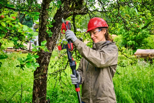 Секатор телескопический аккумуляторный Einhell GP-LS 18/28 Li T BL - Solo, PXC, 18В, бесщеточный, толщ. 28/14 мм, сталь SK5, телескоп. ручка, 0.82 кг (без АКБ и ЗУ) цена в Украине