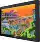 Графический монитор Huion 21,5" Kamvas 22 USB-C,черный цена в Украине