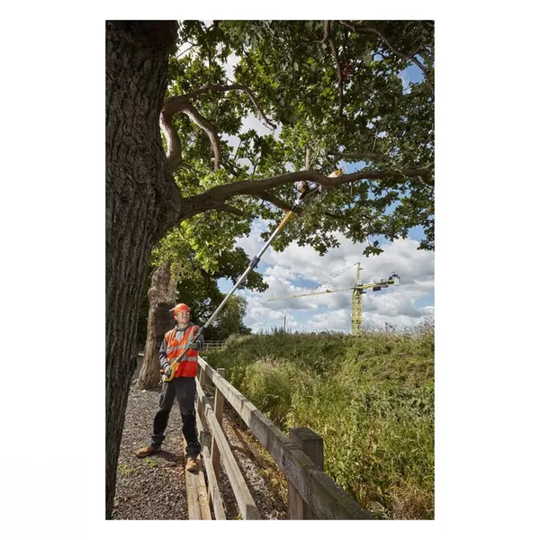 Купить Высоторез цепной аккумуляторный DeWalt бесщеточный 18В шина 20см штанга 180-280см 4.0кг без АКБ и ЗП