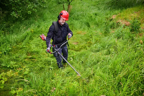 Триммер-коса аккумуляторная Einhell GP-BC 36/430 Li BL - Solo бесщеточная 36В(18+18) 5200об/мин 7.25кг без АКБ и ЗП купить в Украине