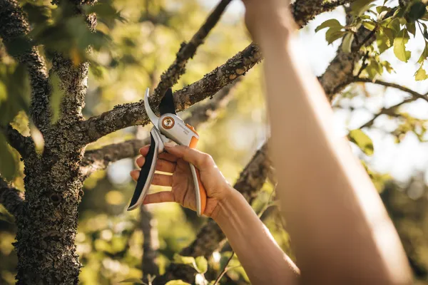 Секатор площинний Fiskars Plus P531, 27,1 см відгуки