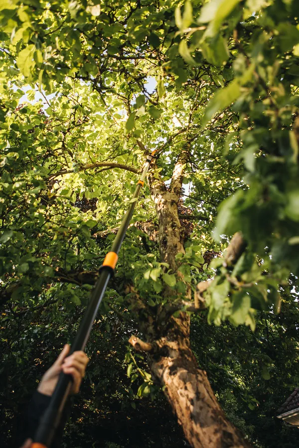 Замовити Сучкоріз висотний, площинний Fiskars PowerGear UPX86, телескопічний, d 32мм, 240-400см, 1900гр з доставкою