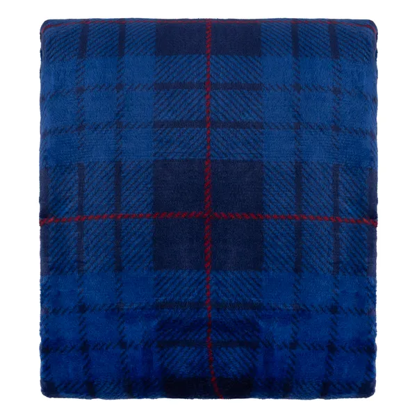 Плед ARDESTO Flannel 160х200см, 100% полиэстер, клетка, синий заказать
