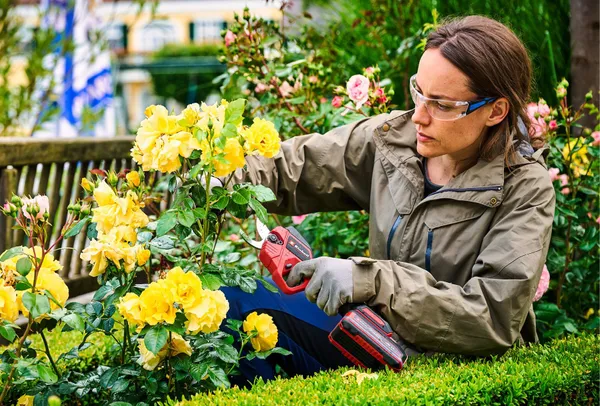 Купить Секатор аккумуляторный Einhell GP-LS 18/28 Li BL - Solo, PXC, 18В, бесщеточный, толщ. 28/14 мм, сталь SK5, 0.82 кг (без АКБ и ЗУ) со скидкой