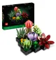 Конструктор LEGO Botanicals Сукуленти