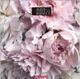 Весы Ardesto напольные Peonies, 150кг, AAAx2 в компл, стекло, многоцветные