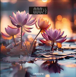 Весы Ardesto напольные LOTUS, 150кг, AAAx2 в компл, стекло, многоцветные фото