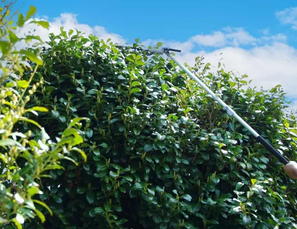 Садовый набор Zipper ZI-GPS252 купить онлайн