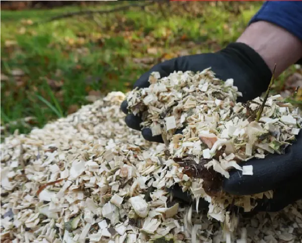 Садовый измельчитель веток HECHT 626 BOX отзывы