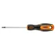 Викрутка Neo Tools Torx, T20x100мм, сталь CrV