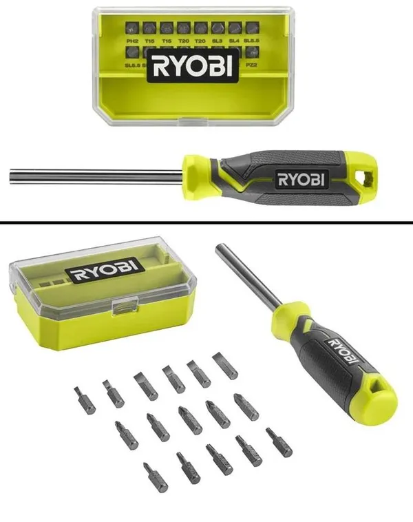 Отвертка Ryobi RHSDM1701, битодержатель 1/4", 100мм, 16 бит, SL,PH,PZ,Torx