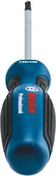 Купити Викрутка Bosch Professional Torx T25x100мм
