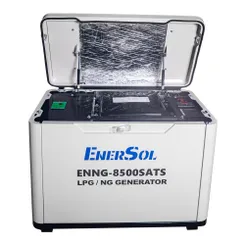 Генератор газовый EnerSol ENNG-8500SATS, 230В, 8.0-8.5кВт, электростартер, 160.0кг фото