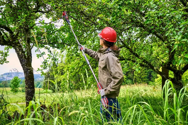 Секатор телескопический аккумуляторный Einhell GP-LS 18/28 Li T BL - Solo, PXC, 18В, бесщеточный, толщ. 28/14 мм, сталь SK5, телескоп. ручка, 0.82 кг (без АКБ и ЗУ) в наличии