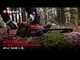 Пила цепная аккумуляторная Einhell GP-LC 36/40 Li BL - Solo, PXC, 36В, шина 40 см, бесщеточная, 19 м/с, 4.8 кг (без АКБ и ЗУ)