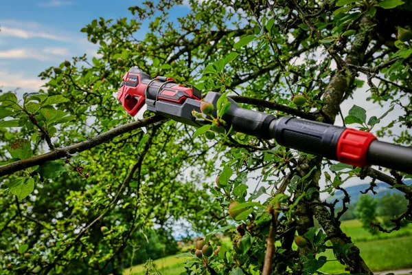 Заказать Секатор телескопический аккумуляторный Einhell GP-LS 18/28 Li T BL - Solo, PXC, 18В, бесщеточный, толщ. 28/14 мм, сталь SK5, телескоп. ручка, 0.82 кг (без АКБ и ЗУ) с доставкой