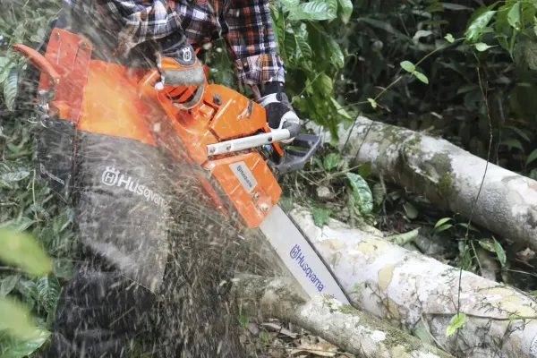 Ланцюгова пила Husqvarna 365 ціна в Україні