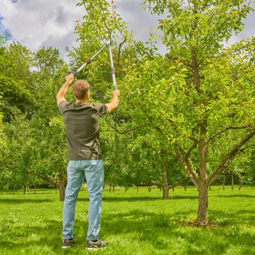 Сучкоріз Gardena TeleCut basic 42 мм з доставкою