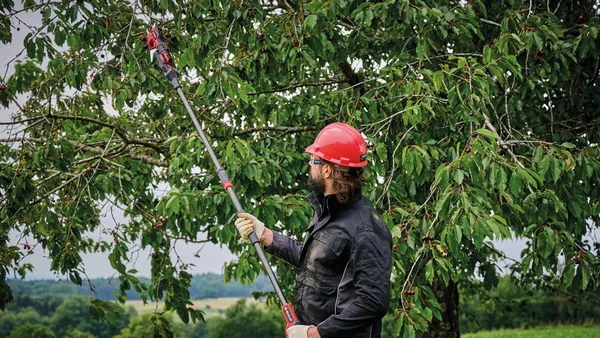 Секатор телескопический аккумуляторный Einhell GP-LS 18/28 Li T BL - Solo, PXC, 18В, бесщеточный, толщ. 28/14 мм, сталь SK5, телескоп. ручка, 0.82 кг (без АКБ и ЗУ) купить в Украине