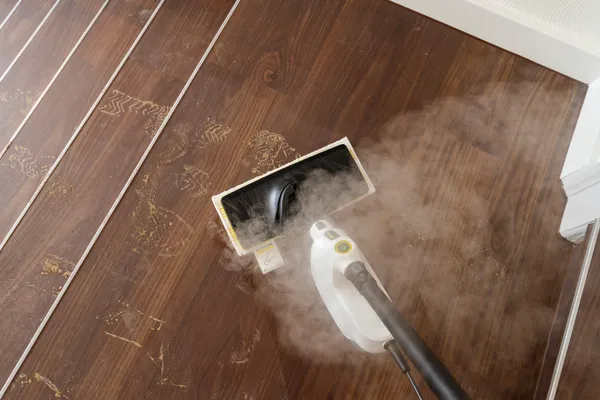 Заказать Пароочиститель Karcher SC 1 Multi & Up, 1300Вт, 200мл, белый с доставкой