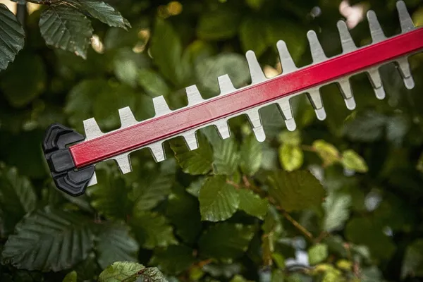 Кущоріз акумуляторний SKIL 0440 CA 20В акб 1х2.5А·год 55см крок різу 20мм 2.15кг замовити