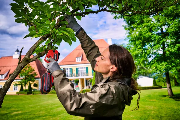 Секатор аккумуляторный Einhell GP-LS 18/28 Li BL - Solo, PXC, 18В, бесщеточный, толщ. 28/14 мм, сталь SK5, 0.82 кг (без АКБ и ЗУ) с доставкой