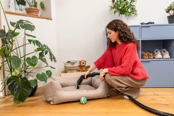 Миючий пилосос SE 6 Signature Line з доставкою