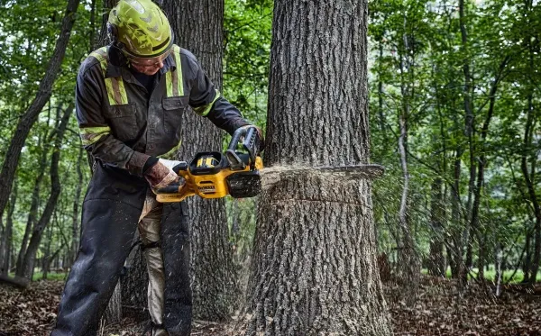 Пила цепная аккумуляторная DeWalt бесщеточная 54В XR FLEXVOLT шина 50см OREGON 3/8 1.3мм 5.7кг без АКБ и ЗП заказать