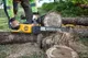 Купить Пила цепная аккумуляторная DeWalt бесщеточная 54В XR FLEXVOLT шина 50см OREGON 3/8 1.3мм 5.7кг без АКБ и ЗП