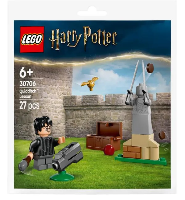 Конструктор LEGO Harry Potter Урок с Квидича