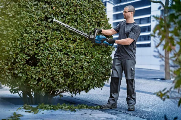 Замовити Кущоріз акумуляторний Bosch Professional GHE 18V-60 18В 60мм крок різу 23мм 2.3кг без АКБ та ЗП з доставкою